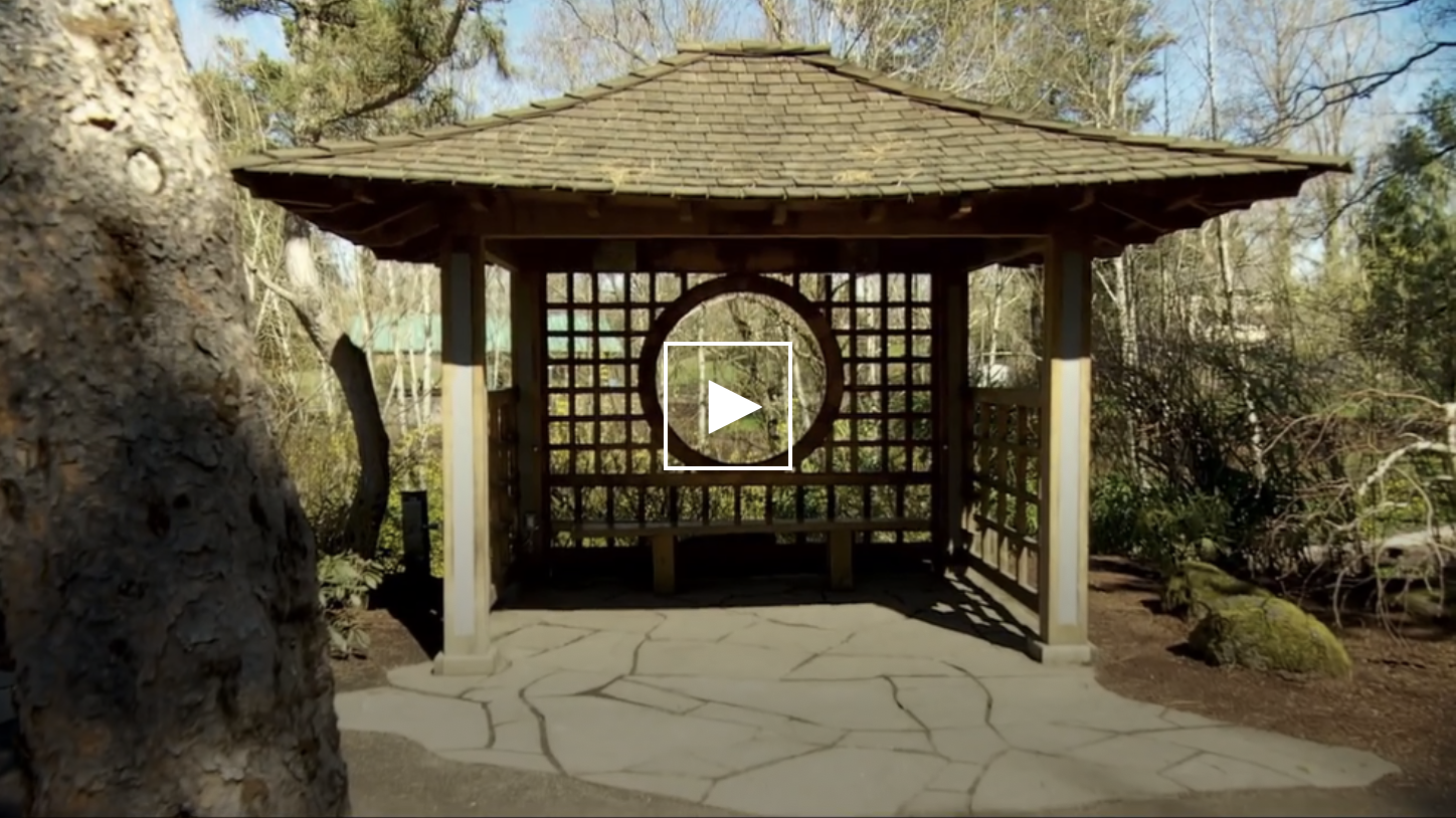 video of Gresham Japanese Garden